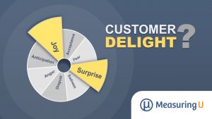 What Is Customer Delight?
