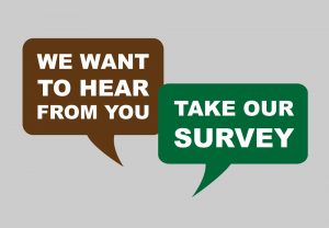 What Motivates People to Take Free Surveys?